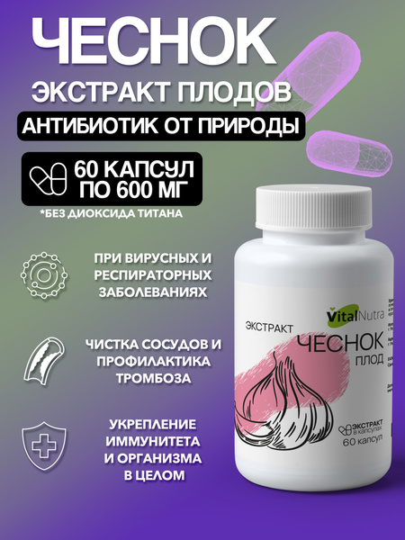 VitalNutra Garlic Extract: Lower Cholesterol & Blood Pressure, Boost Immunity (60 Capsules)