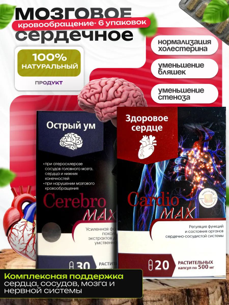 Altai Statins & Cerebromax/Cardiomax: Enhanced Atherosclerosis & Plaque Treatment (6-Pack)