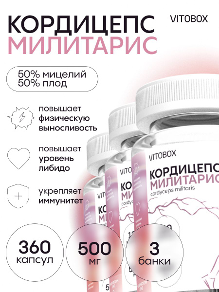 Cordyceps Supplement: 360 Capsules