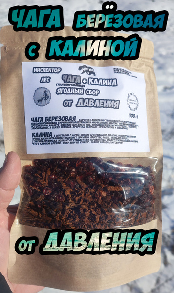 Chaga Mushroom & Viburnum Berry Blend for Blood Pressure Support