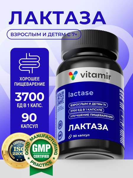 Lactase Enzyme 90 Capsules: Adult Digestive Support