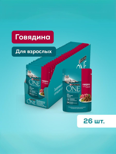 Purina ONE Adult Cat Wet Food - Beef & Carrot Sauce (75g x 26)