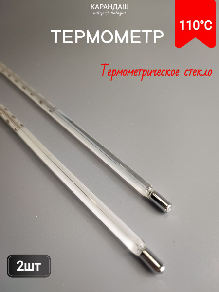RT-300mm 110°C Thermometers (2-Pack)
