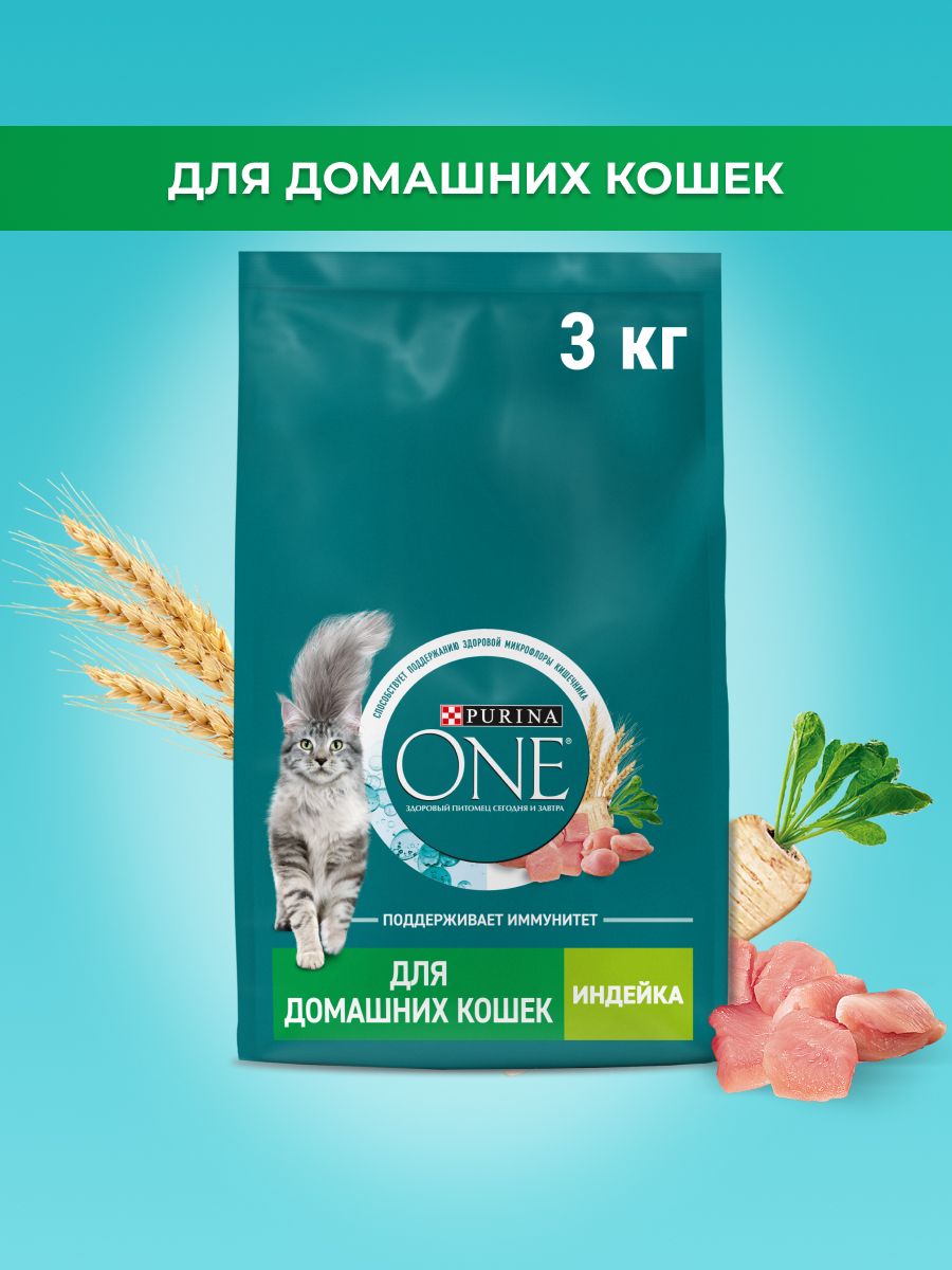 Purina ONE Dry Cat Food for Indoor Lifestyle, Turkey & Whole Grains, 3 kg