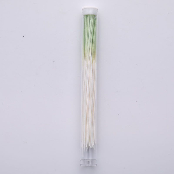 Ear and Nose Cleaner Tool