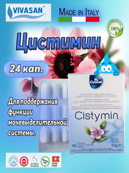 Cystinol by Vivasan: 24 Capsules for Urinary Tract Support