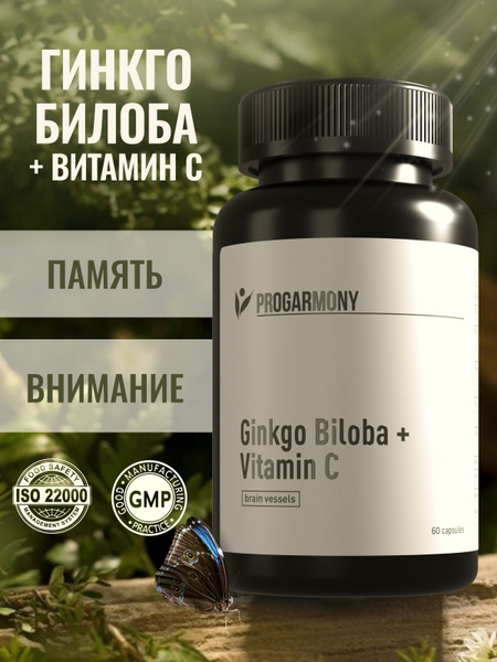 Ginkgo Biloba 120mg with Vitamin C: Boost Brain, Memory & Focus (60 Capsules)