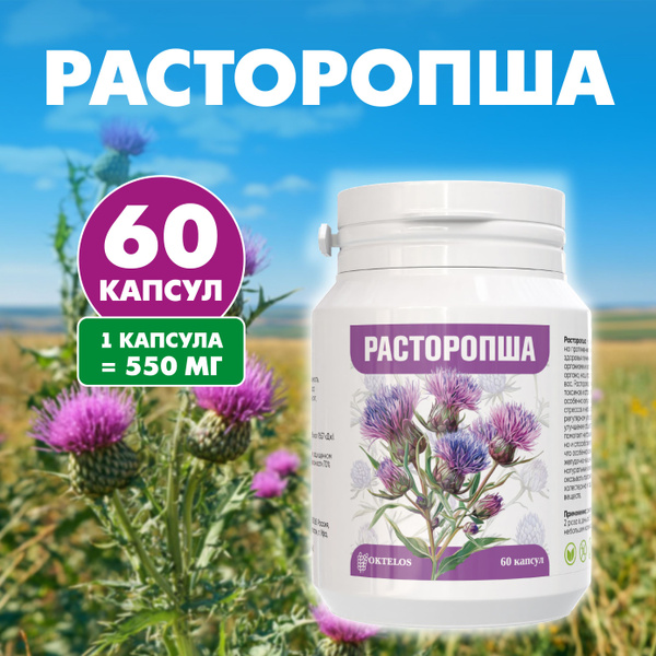 Milk Thistle Liver Support Capsules - 60 Count