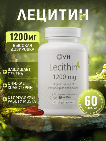 Lecithin 1200mg: Liver Support, Cholesterol & Brain Health - 60 Capsules