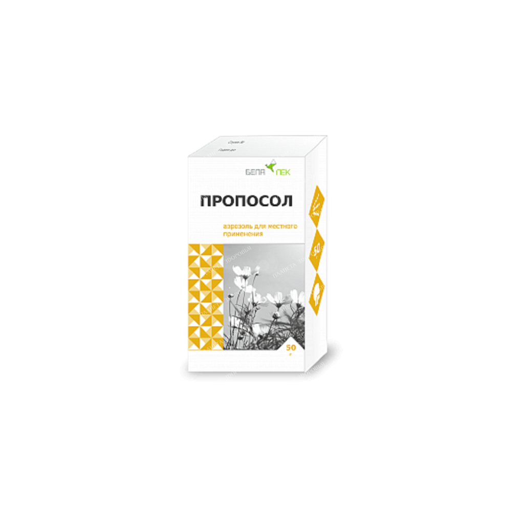 Proposol aerosol for topical application 50g №1