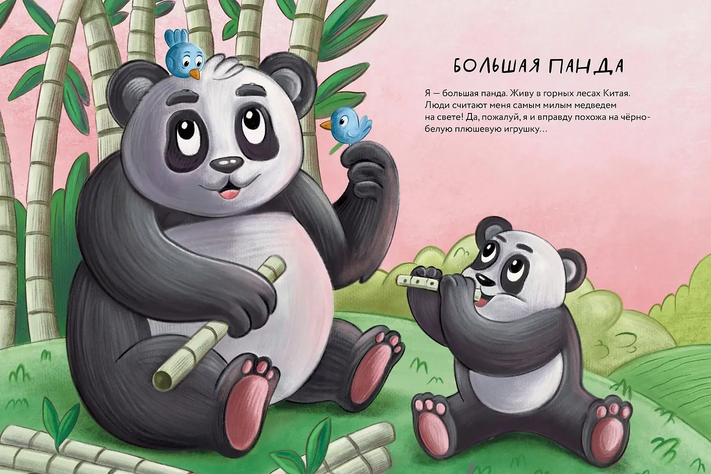 Косолапые медведи фото книги 3