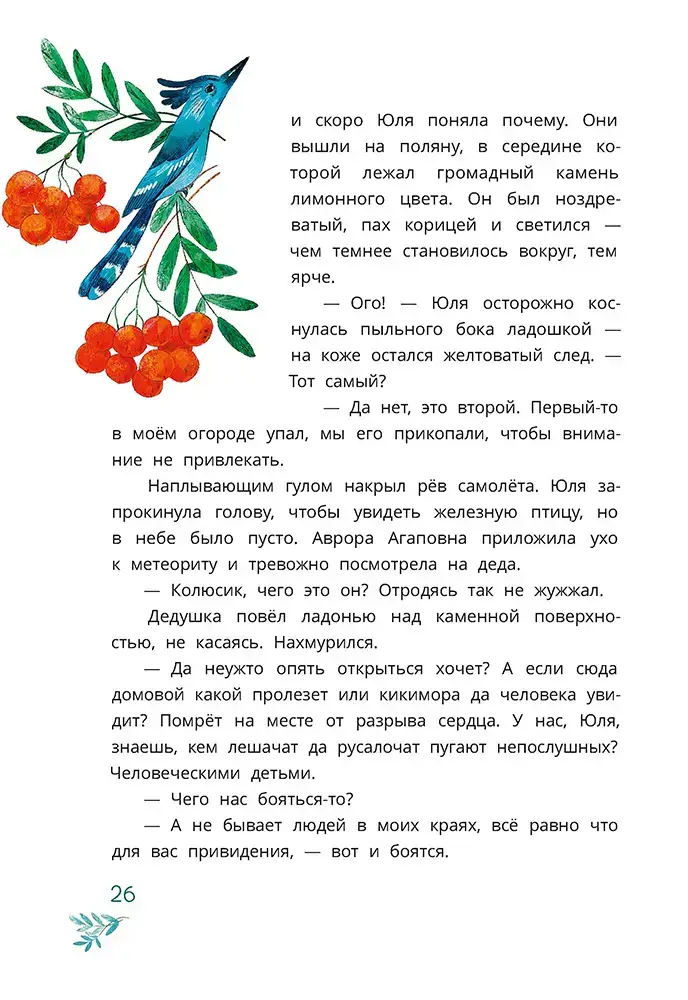 Шебуршарик Вася с планеты Синехвостиковая фото книги 6