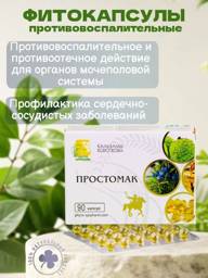 Korotkov Balms Prostomak Anti-inflammatory Phyto Capsules 90 Capsules #1