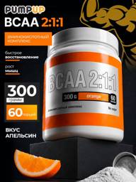 Whey BCAA 2:1:1 Powder, Orange, 300 g, 60 Servings #1