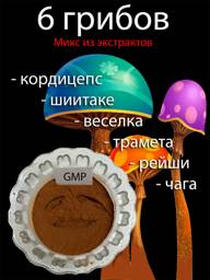 VitApteka Six Mushrooms Extract Powder 10 g #1