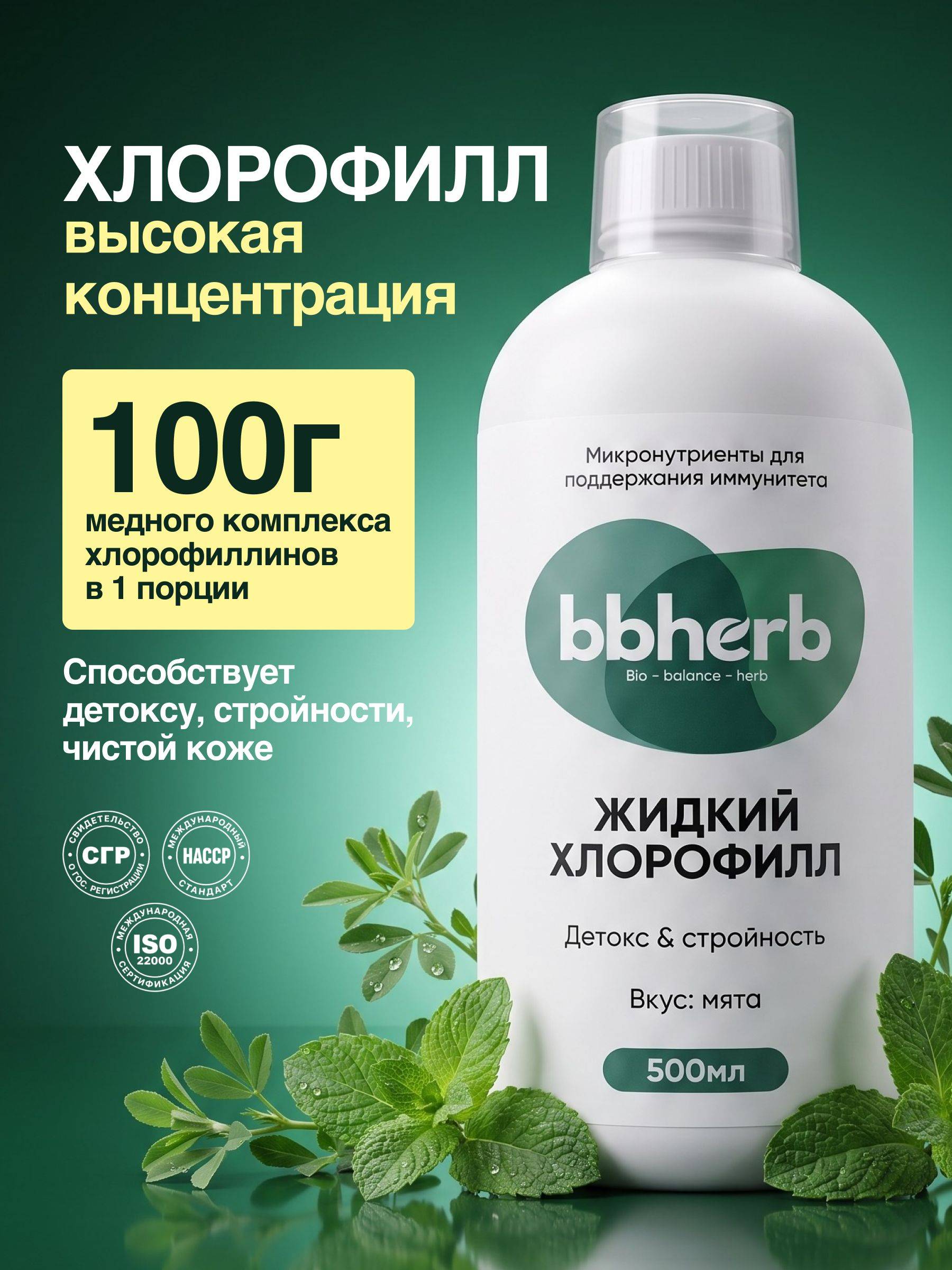 BBHERB Liquid Chlorophyll Concentrate Mint 1 Pack 500 ml