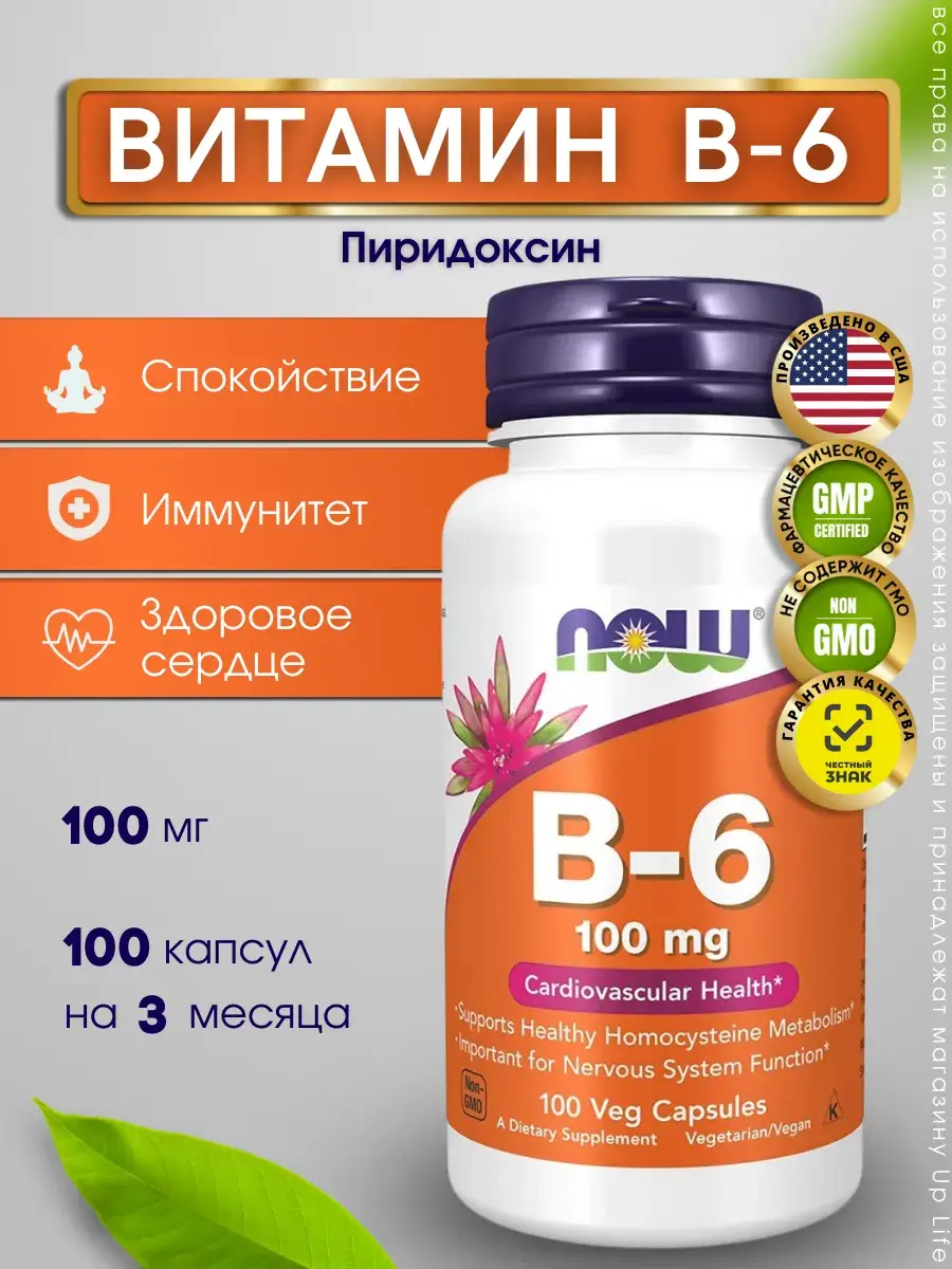 NOW Foods Vitamin B-6 250 Capsules 100 Count