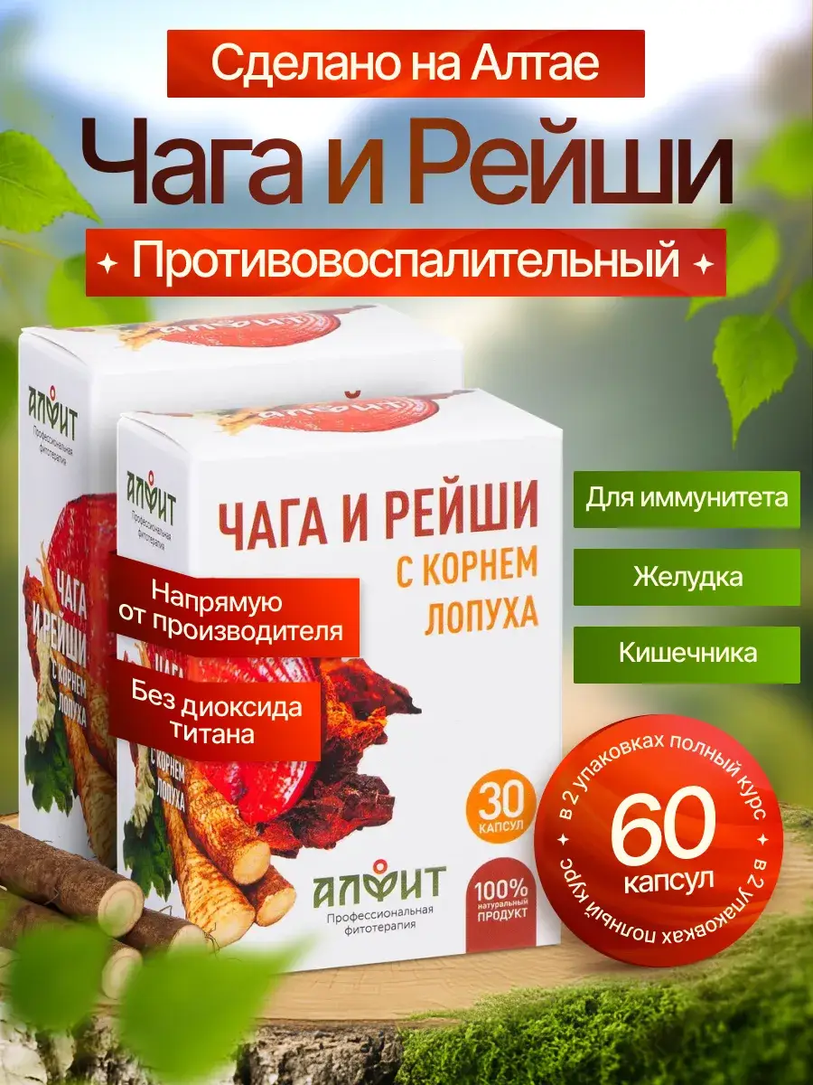 Alfit Birch Chaga, Reishi Mushroom and Burdock Root Capsules, 60 Count