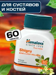 Himalaya Herbals Shigru Joint & Bone Support, 60 Tablets #1