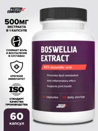 PROTEIN.COMPANY Boswellia Extract 500 mg Capsules 60 Count #1