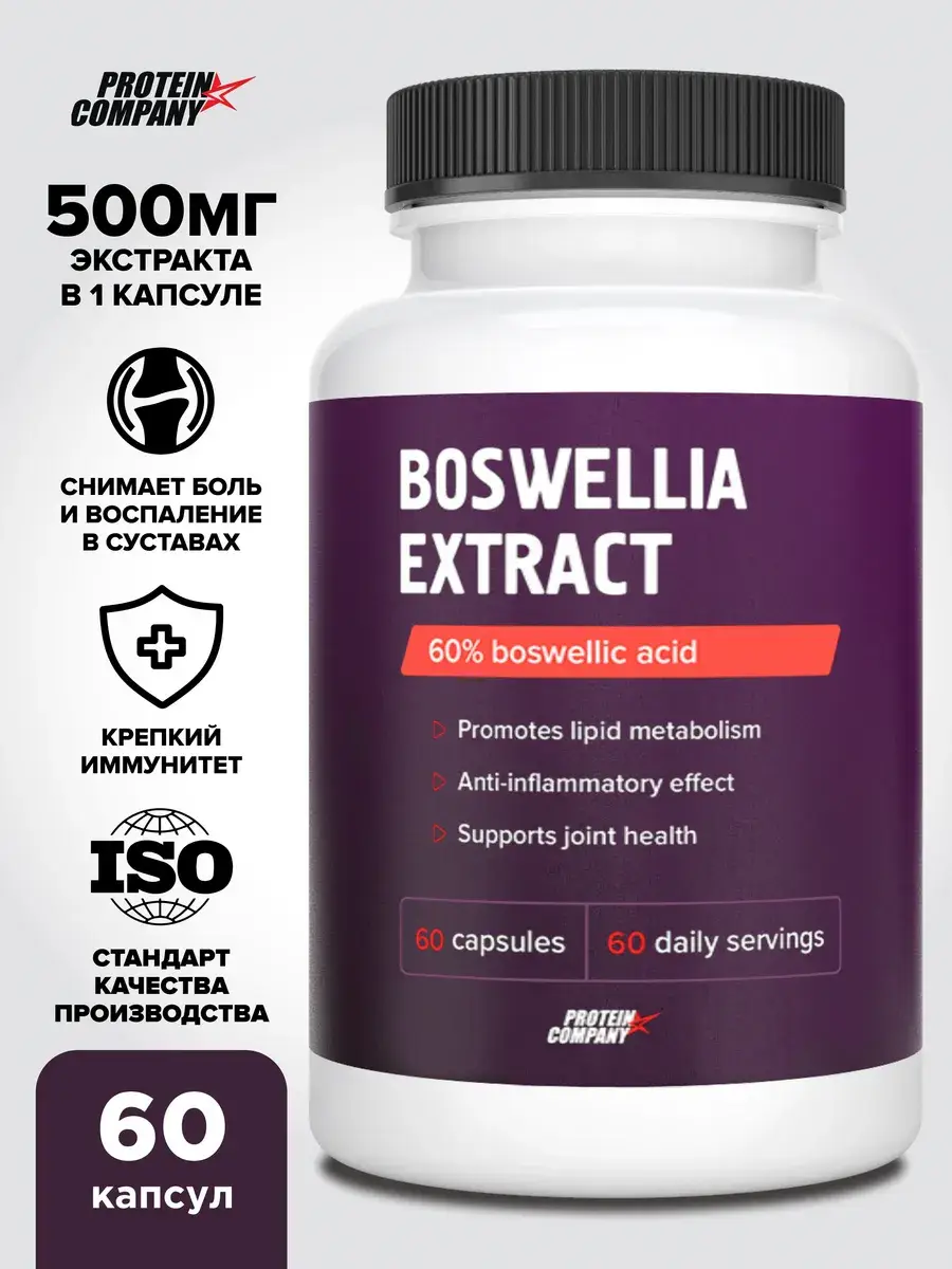 PROTEIN.COMPANY Boswellia Extract 500 mg Capsules 60 Count