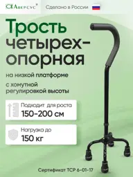 Aversus Quad Cane, Charcoal Black, 150 kg Capacity #1