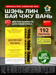 Shen Ling Bai Zhu Wan 192 Pills for Digestive Support #1