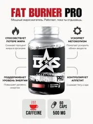 Binasport Excellent Fat Burner Pro Capsules, 500 mg, 60 Count #1