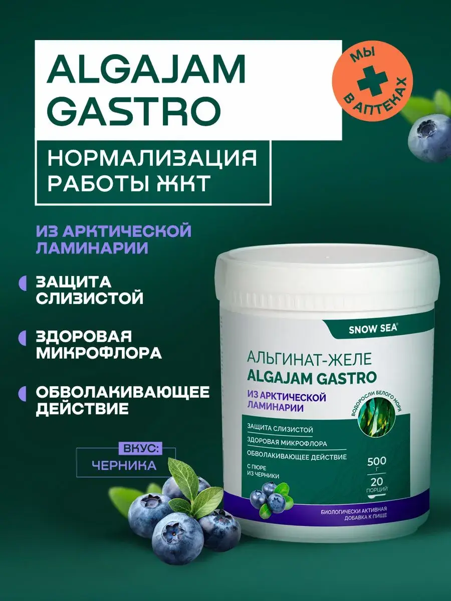 SNOW SEA Algajam Gastro Jelly Blueberry 500 g