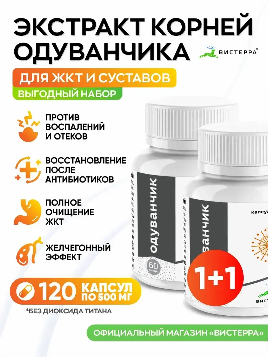 Visterra Dandelion Root Extract Capsules 2 Pack 120 Count
