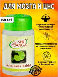 Shri Ganga Gotu Kola Tablets, 100 Tablets, 500 mg #1