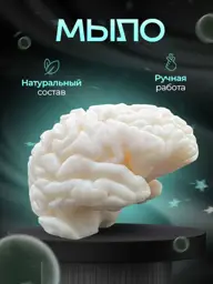 Davai Darit! Handmade Brain-Shaped Soap Gift Set #1