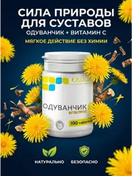Parapharm Dandelion P Joint Supplement, 100 Tablets 100 Count #1