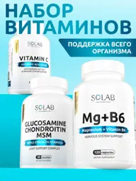 SOLAB Basic Nutraceutical Support Set (90 + 120 + 60 Capsules) #1