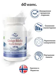 Norway Nature Ginkgo Biloba Forehead Patches 120 mg #1