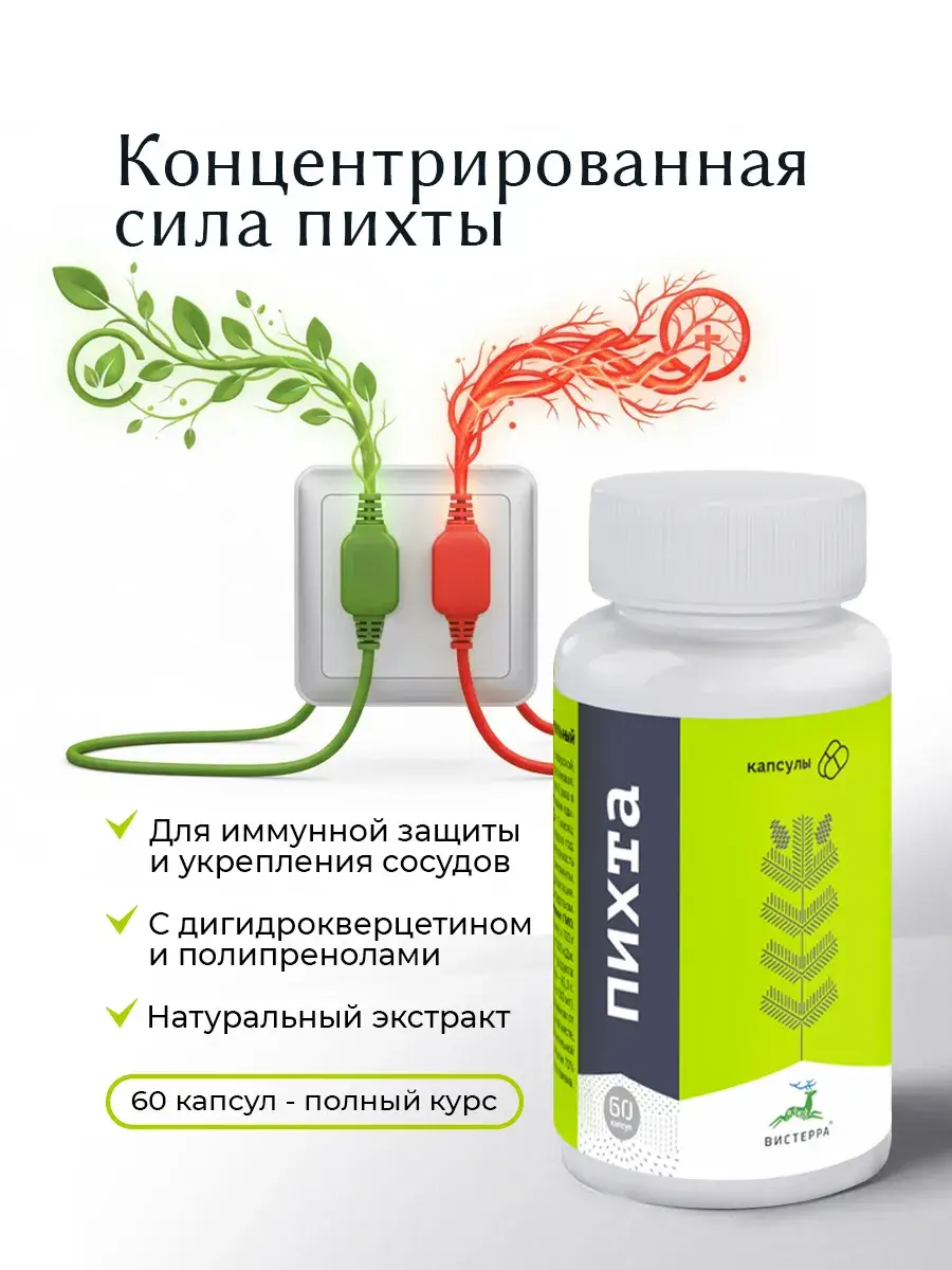 Visterra Siberian Fir Extract Capsules 60 Pack