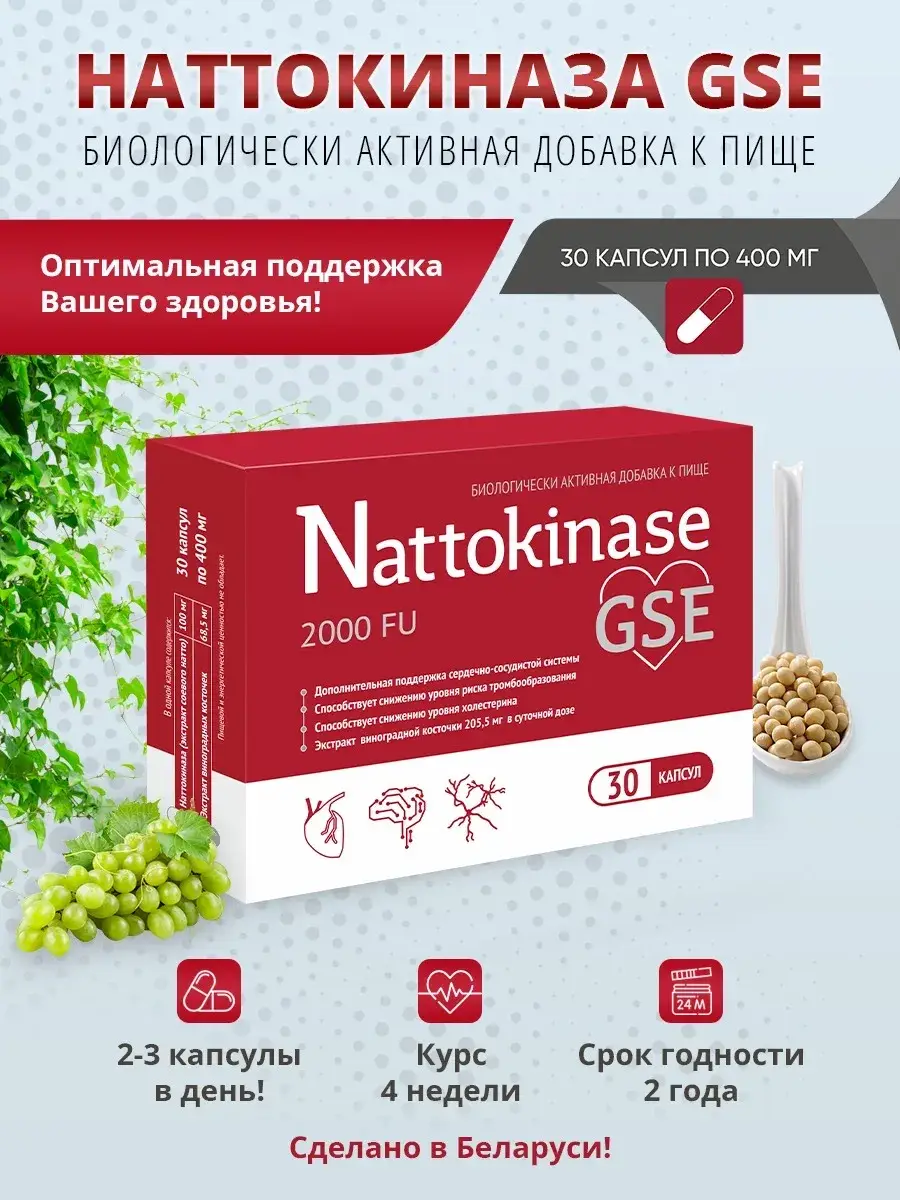 BioTerra Nattokinase GSE Capsules 400 mg 30 Pack