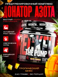 Reckful The Pump Pre-Workout Powder, Tropical Fruit, 240 g #1