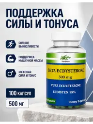 Herbern Beta Ecdysterone Capsules, 500 mg, 100 Count #1