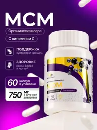Mister Prot MSM 750 mg Capsules, 60 Count #1