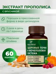 Bee Strength Propolis Extract with Bilberry Coated Tablets 60 pcs #1