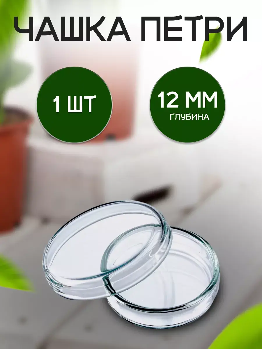 MiniMed Glass Petri Dish with Lid 100x20 mm 1 Pack 20 mm