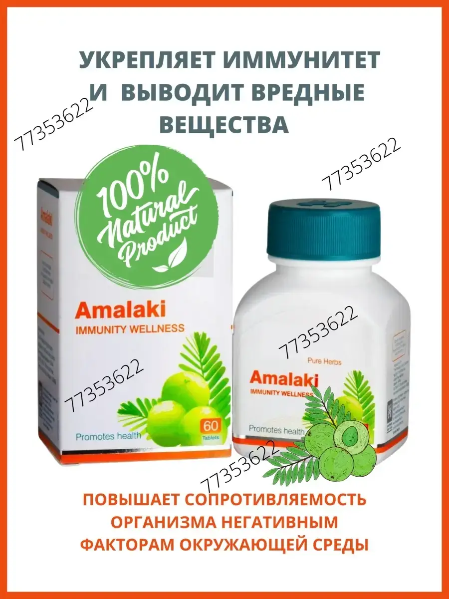 AumRa Amalaki Amla Coated Tablets 60 Count