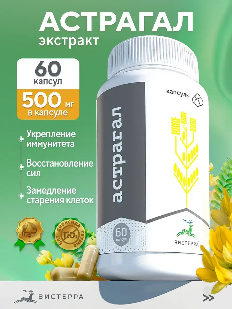 Visterra Astragalus Extract Capsules, 60 Count