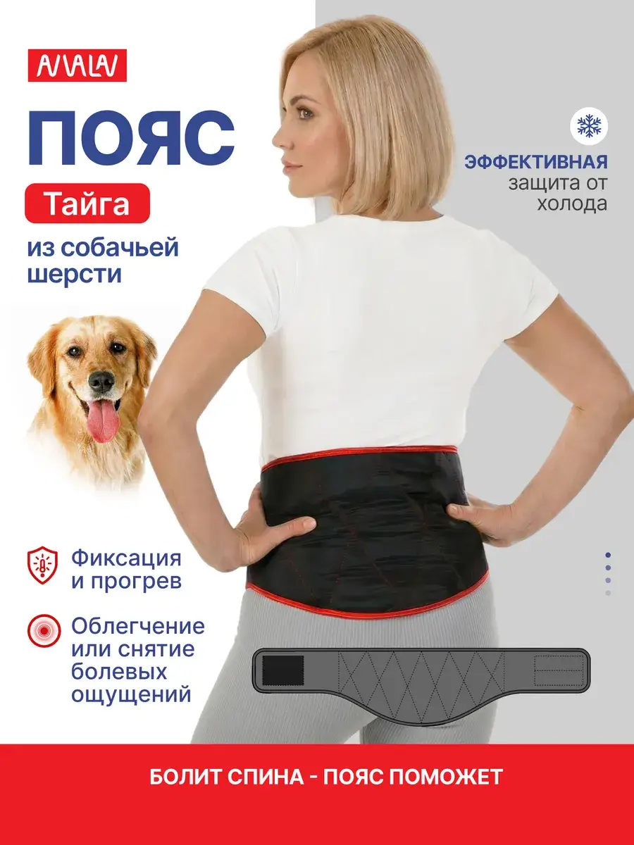 Premier Taiga Dog Wool Warming Back Belt 24 cm