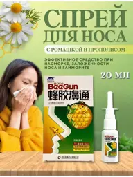 Nose Beegun Propolis Nasal Spray #1