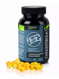 Sib-KruK Cholesterol No More, 320 Capsules or Tablets #1