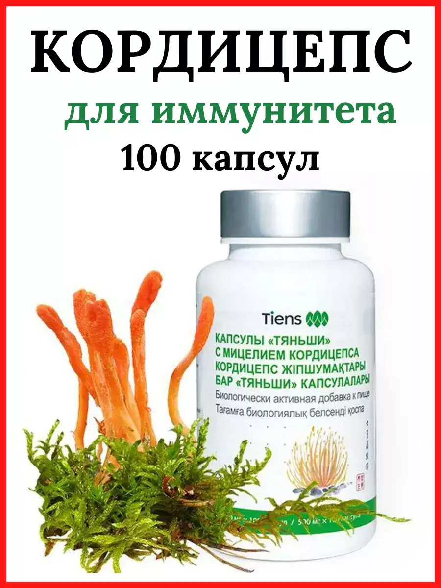 Cordyceps Tiens Capsules 0.5g 100 Pack