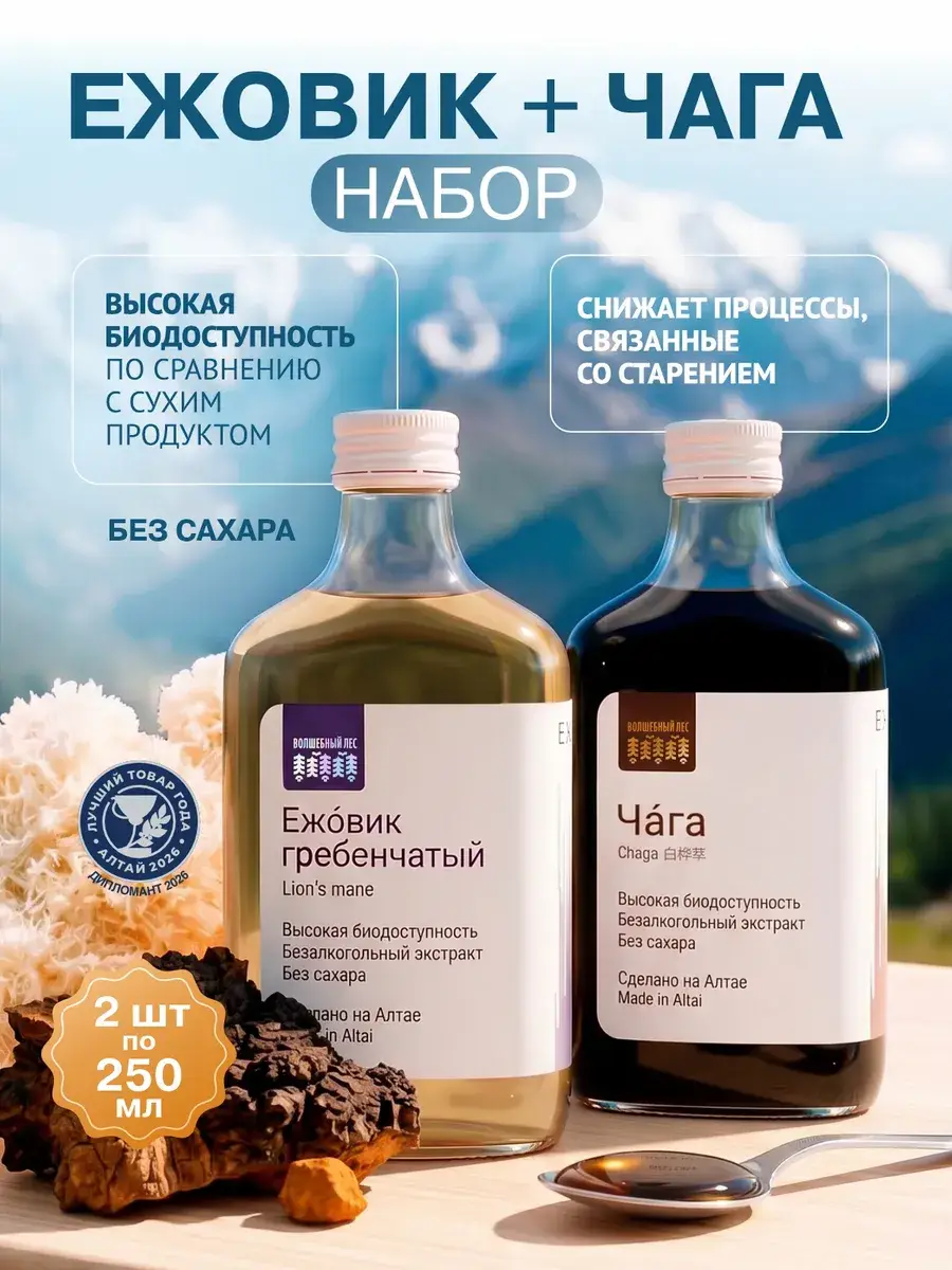Lion's Mane and Chaga Extract Set Pack of 2 250 ml, 2 Count
