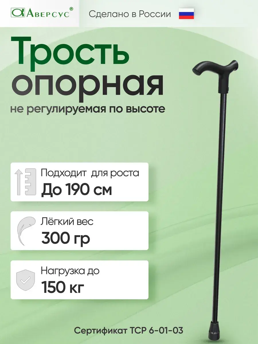 Aversus walking cane, charcoal black, 150 kg load